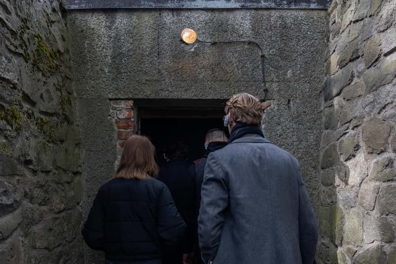 From Krakow: Auschwitz-Birkenau Guided Tour with Transport - Who should choose this tour?