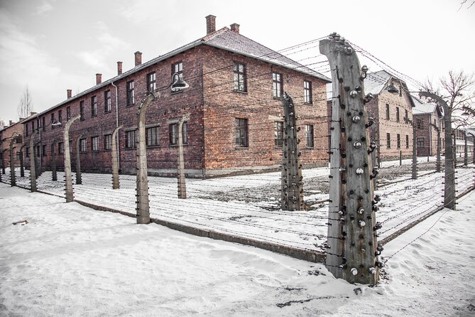 From Krakow: Auschwitz-Birkenau Memorial and Museum Guided Tour - What the $81.66 price includes