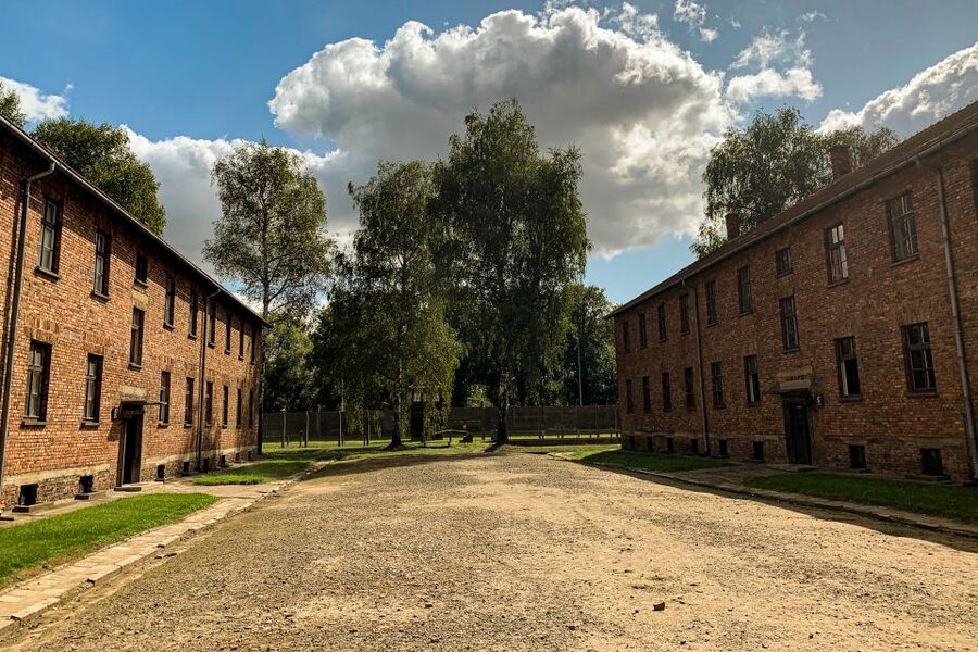From Krakow: Auschwitz-Birkenau Memorial and Museum Tour - Key points to know before you book