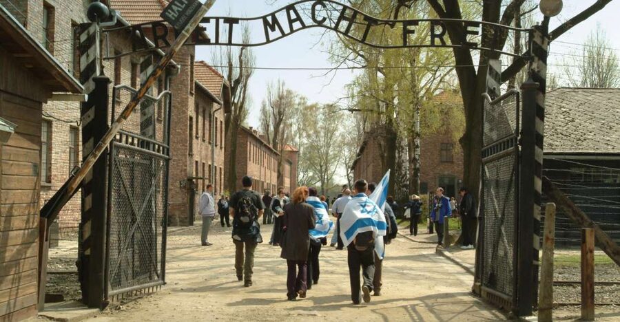 From Krakow: Auschwitz-Birkenau Memorial and Museum Tour - Who should book this Auschwitz tour?