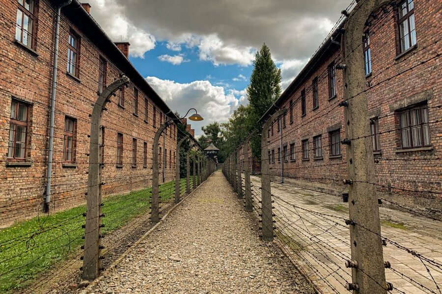 From Krakow: Auschwitz-Birkenau Memorial and Museum Tour - Why this seven-hour visit matters