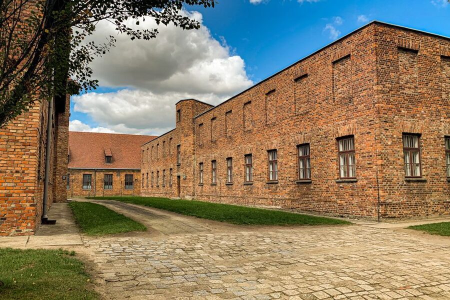 From Krakow: Auschwitz-Birkenau Memorial and Museum Tour - A respectful pace, with limited time for food