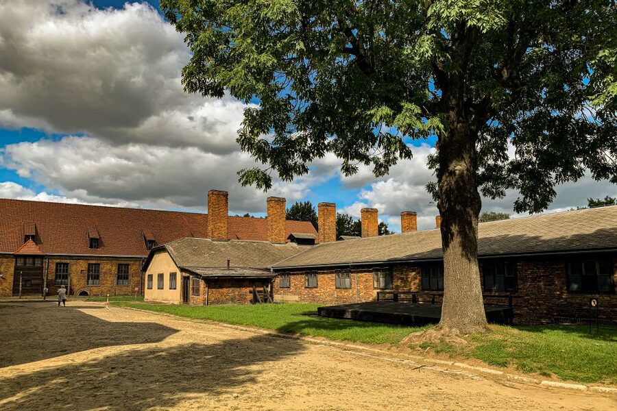 From Krakow: Auschwitz-Birkenau Memorial and Museum Tour - Guides and languages
