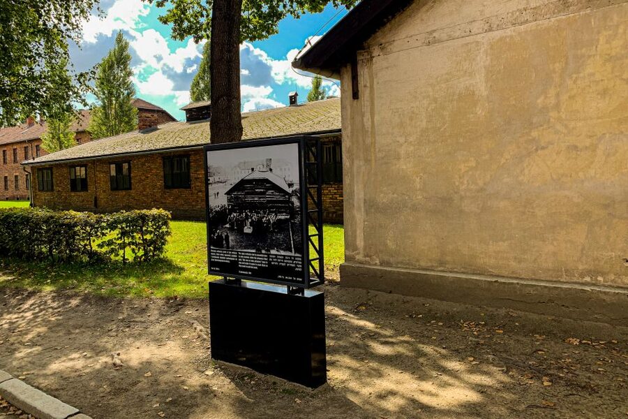 From Krakow: Auschwitz-Birkenau Memorial and Museum Tour - Is $81 good value?
