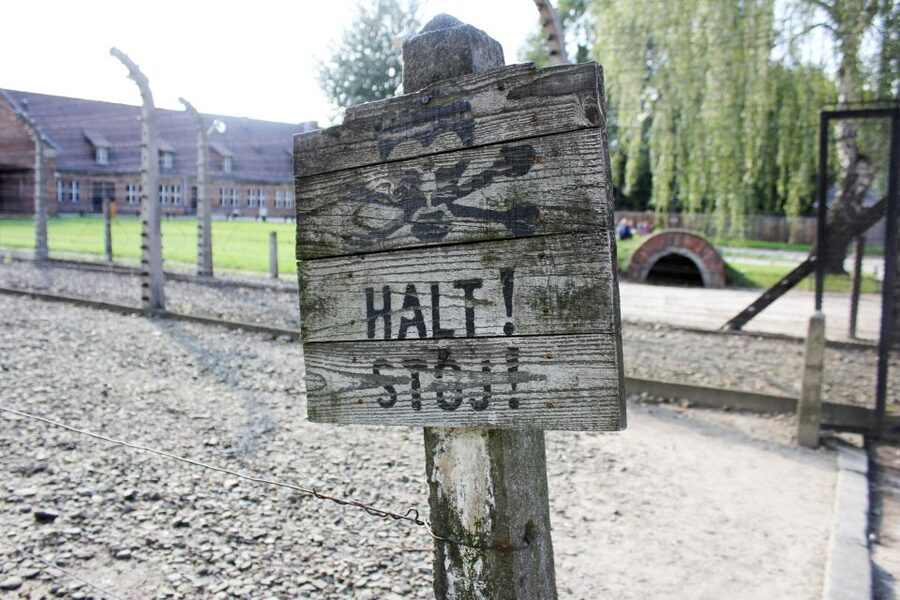 From Kraków: Auschwitz-Birkenau Memorial Guided Tour - Why Auschwitz-Birkenau requires a full day