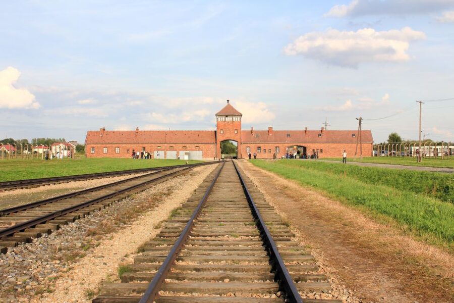 From Kraków: Auschwitz-Birkenau Memorial Guided Tour - What the guided tour adds