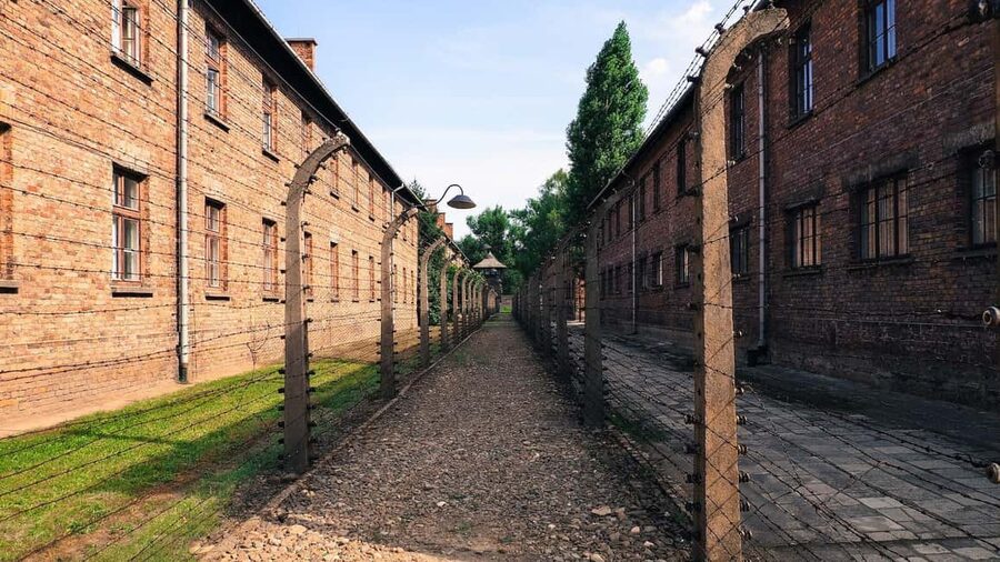 From Krakow: Auschwitz-Birkenau Memorial Private Tour - Lunch in Oswiecim and the return to Krakow