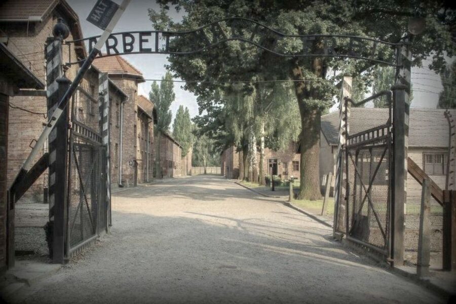 From Krakow: Auschwitz-Birkenau Private or Shared Tour - Private guide or private transport?