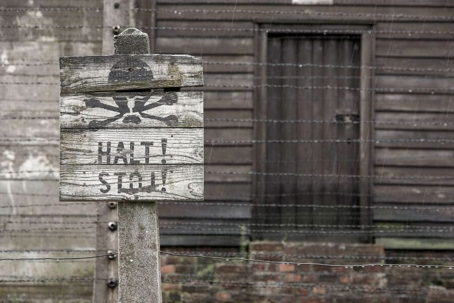 From Krakow: Auschwitz-Birkenau & Schindler's Factory Tour - Why this is a serious day out