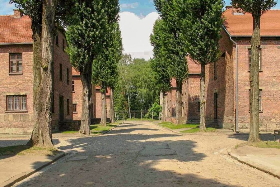 From Krakow: Auschwitz-Birkenau & Schindler's Factory Tour - Schindler’s Factory: a museum about Krakow under occupation