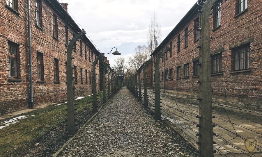 From Krakow: Auschwitz Birkenau Self-Guided Tour - Why this Auschwitz trip matters