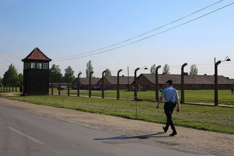 From Krakow: Auschwitz Birkenau Small Group Tour with Pickup - Who should book this experience?