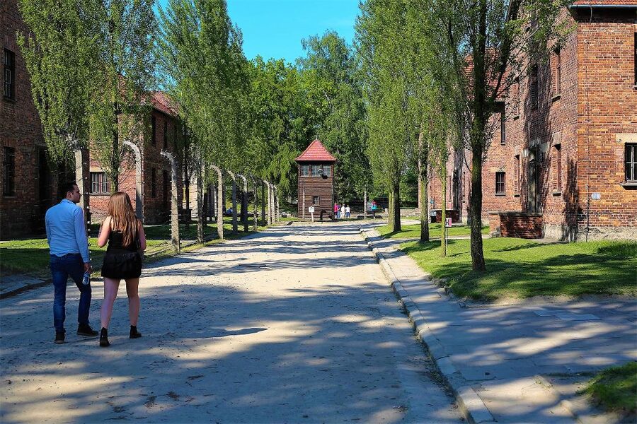 From Krakow: Auschwitz Birkenau Small Group Tour with Pickup - Why this Krakow day trip matters