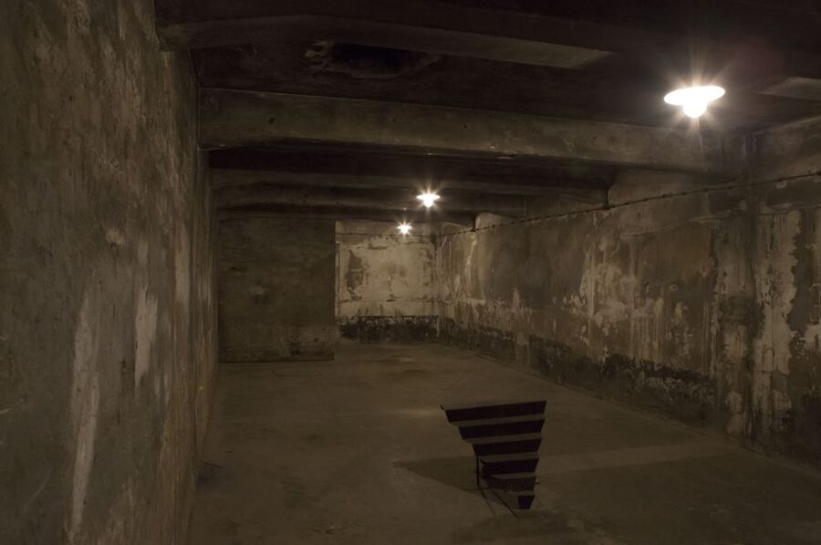 From Krakow: Auschwitz-Birkenau Tour - Why Auschwitz-Birkenau requires a full day