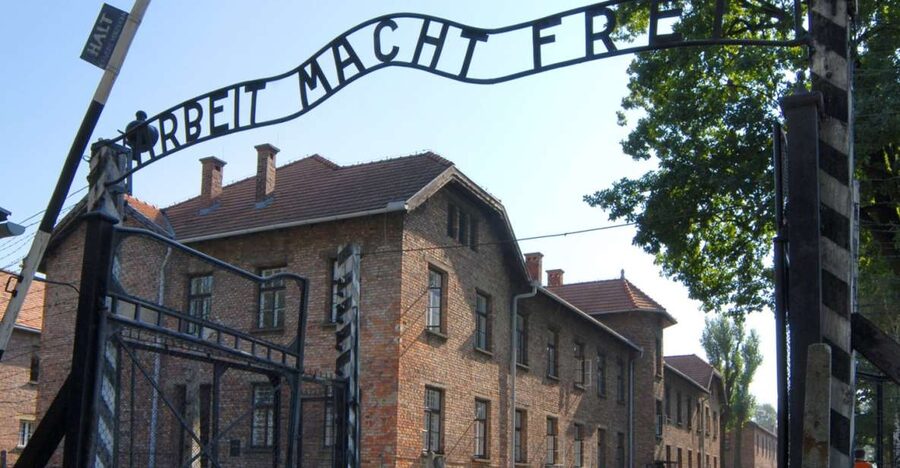 From Krakow: Auschwitz-Birkenau Tour - What the $81 price really covers