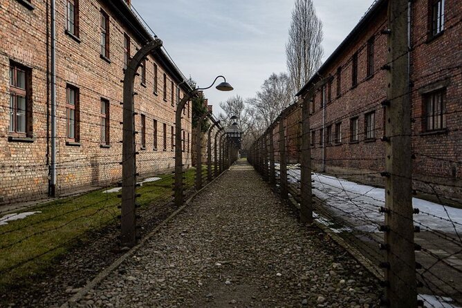 From Kraków: Auschwitz-Birkenau Tour with Lunch Box and Pick Up - Preparing for an emotional and physical visit