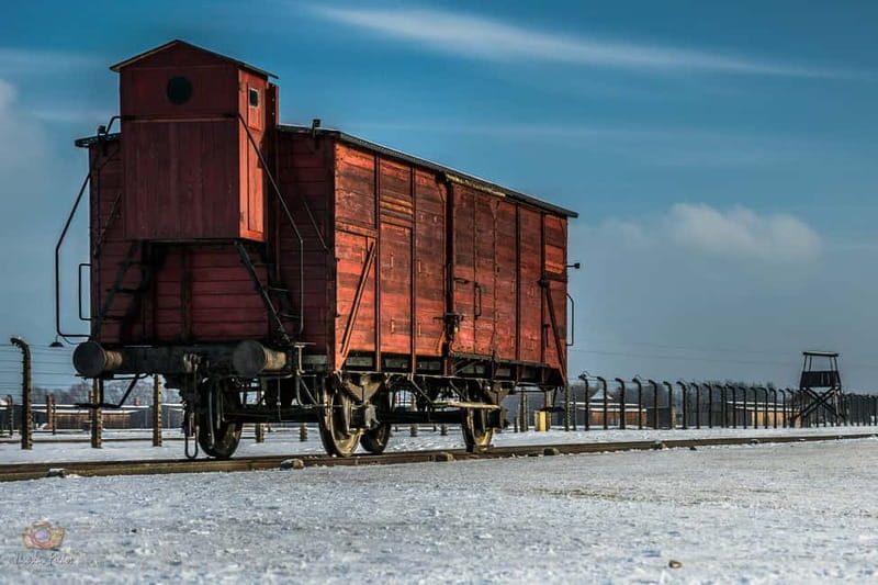 From Krakow: Auschwitz-Birkenau Tour with Transportation - Key points to know before you book
