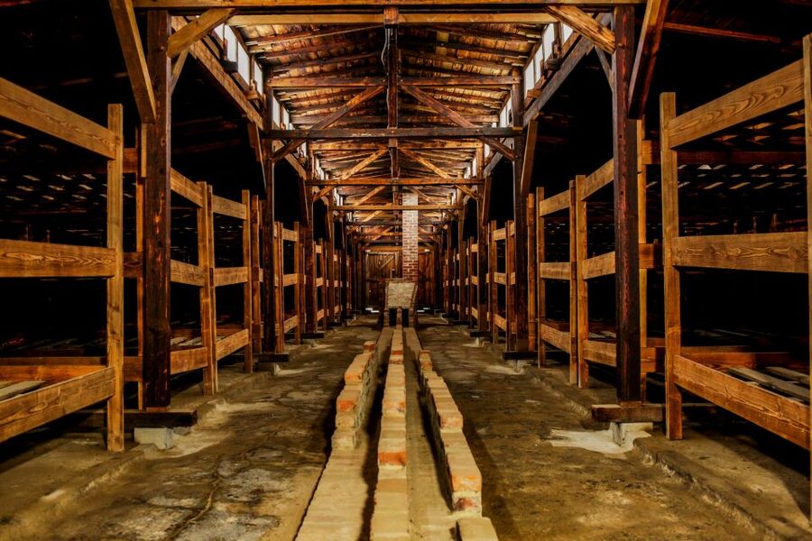 From Krakow: Auschwitz-Birkenau Tour with Transportation - Timing: a 7 to 8-hour day with a tight museum visit