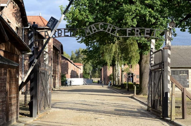 From Krakow: Auschwitz-Birkenau Tour with Transportation - Leaving Krakow and watching the film