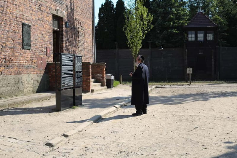 From Krakow: Auschwitz Museum and Wieliczka Salt Mine Tour - Auschwitz II-Birkenau: scale and space