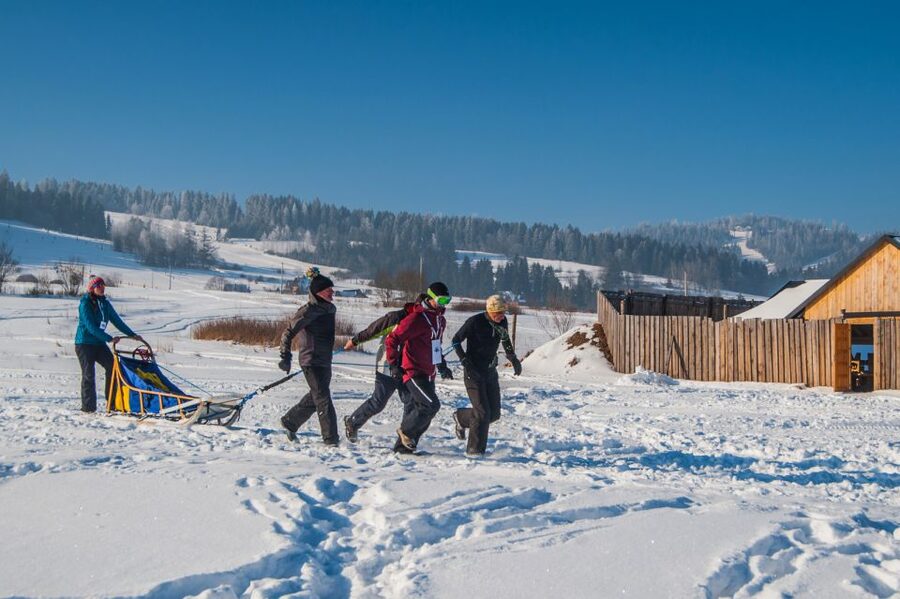 From Krakow: Dogsled Ride in Tatra Mountain - Why departure time can make or break the day