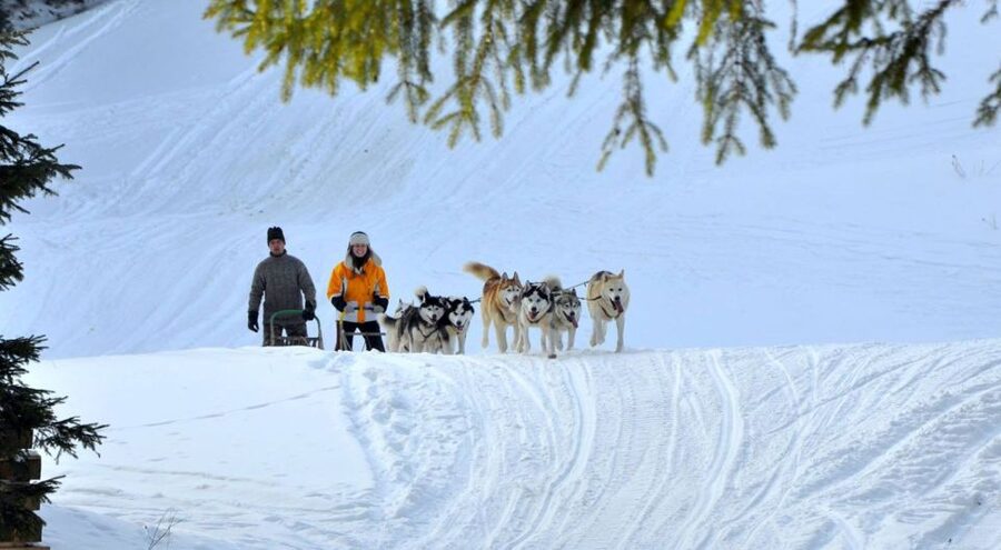 From Krakow: Dogsled Ride in Tatra Mountain - Leaving Krakow for the Tatra Mountains