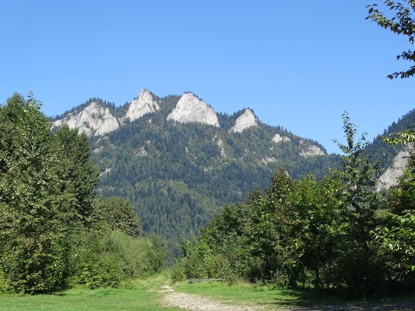 From Krakow: Dunajec River Rafting - Should you book the Dunajec River rafting tour?