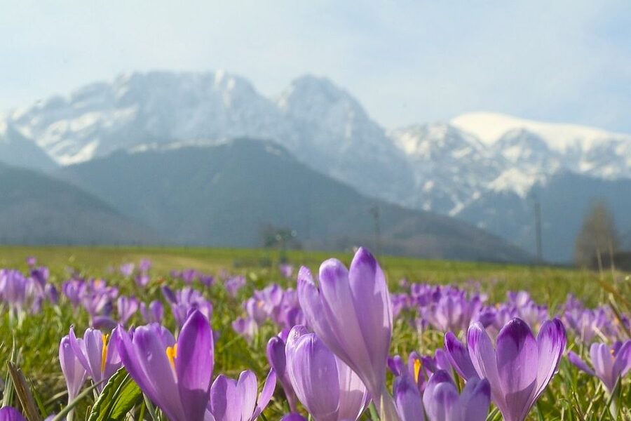 From Krakow: Full-Day Tour of Zakopane and Tatra Mountains - The Krakow to Zakopane ride takes about two hours
