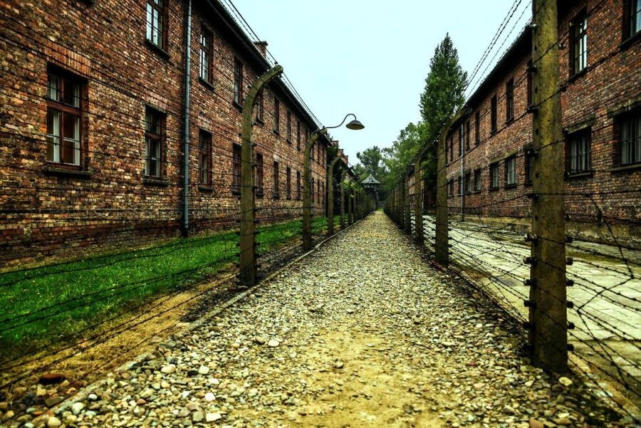 From Krakow: Guided Auschwitz-Birkenau Group Tour by Minivan - Key points to know