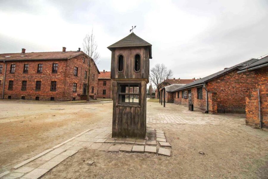 From Krakow: Guided Auschwitz-Birkenau Group Tour by Minivan - Who should book this tour?