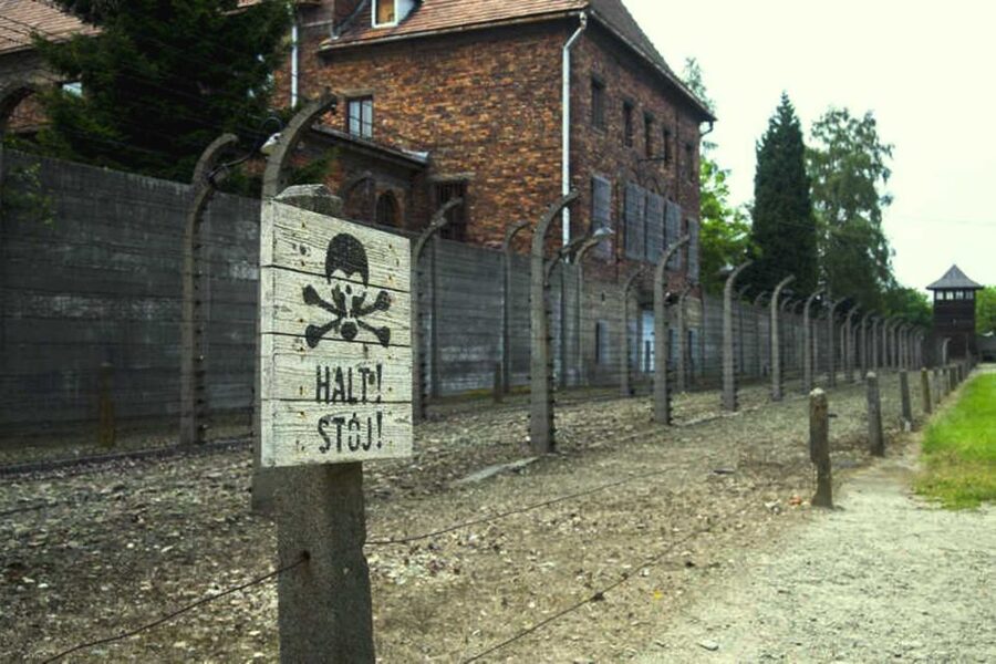 From Krakow: Guided Auschwitz-Birkenau Group Tour by Minivan - Why this Auschwitz visit matters