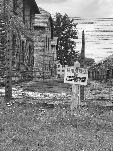 From Krakow: Guided Auschwitz-Birkenau Group Tour by Minivan - Birkenau: scale, barracks, and silence