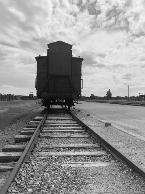 From Krakow: Guided Auschwitz-Birkenau Group Tour by Minivan - What the $68 price covers