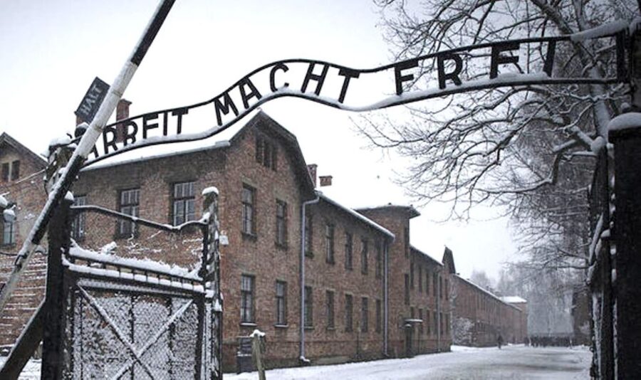 From Krakow: Guided Auschwitz-Birkenau Group Tour by Minivan - Group size and the museum guide