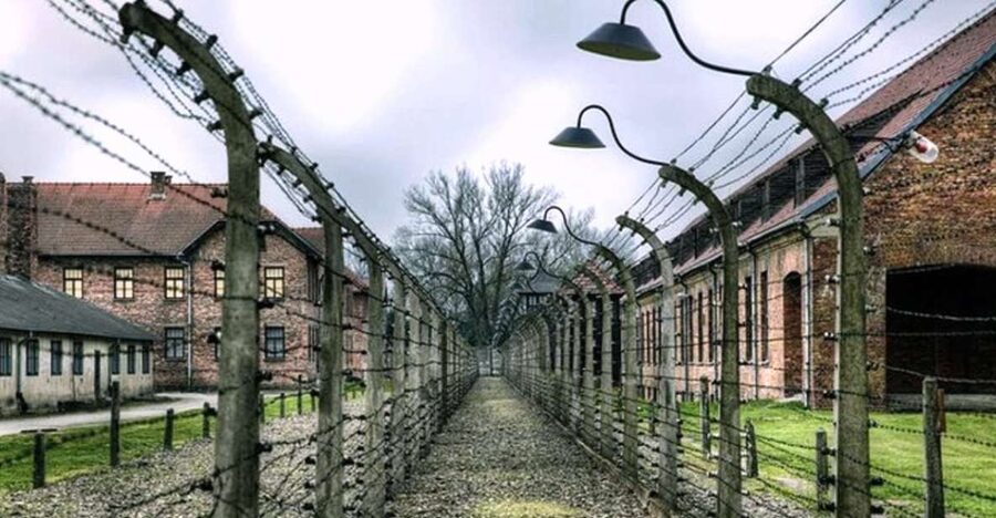 From Krakow: Guided Auschwitz-Birkenau Group Tour by Minivan - Returning to Krakow by mid-afternoon