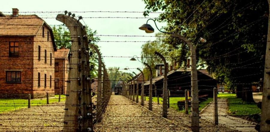 From Krakow: Guided Auschwitz-Birkenau Group Tour by Minivan - The morning journey from Krakow