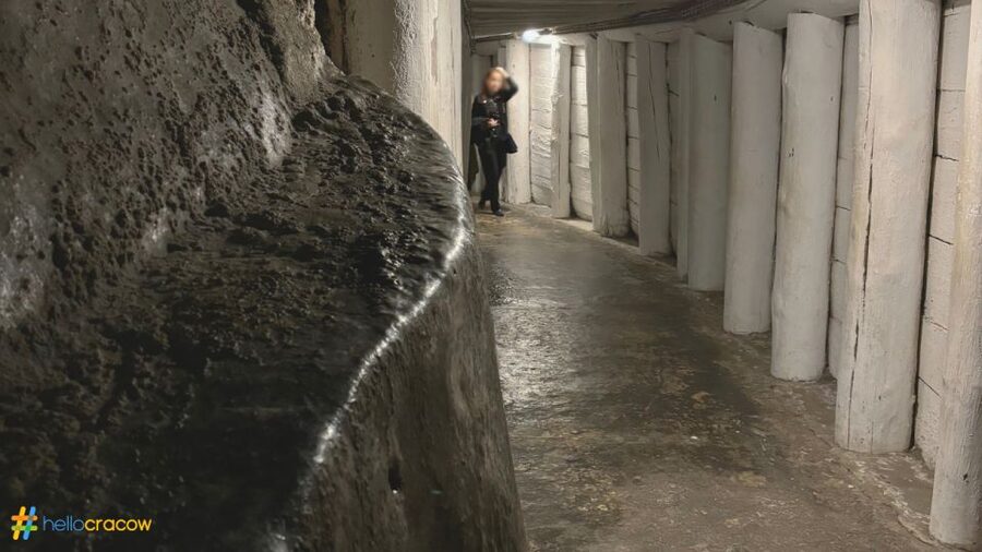 From Krakow: Guided Tour in Wieliczka Salt Mine - Salt sculptures, chapels, and underground lakes