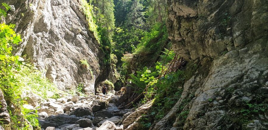 From Krakow: Hiking in the Tatra Mountains and Thermal baths - Walking Kościeliska Valley for three hours