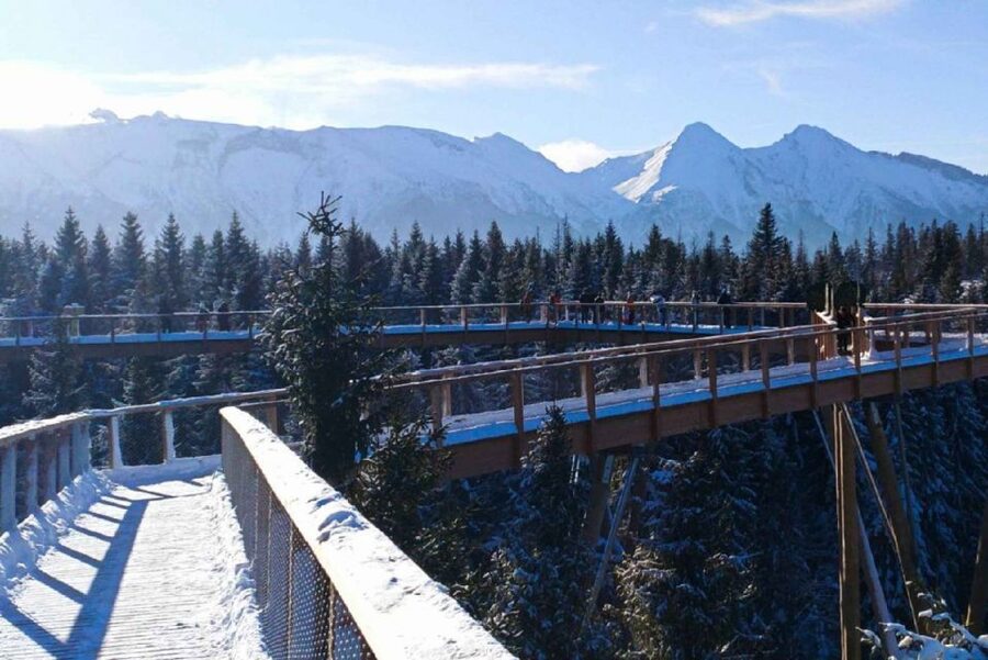 From Krakow: Morskie Oko and Slovakia Treetop Walk - The driver makes a real difference