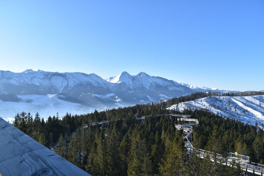 From Krakow: Morskie Oko and Slovakia Treetop Walk - Reaching the treetop path above Bachledova Valley