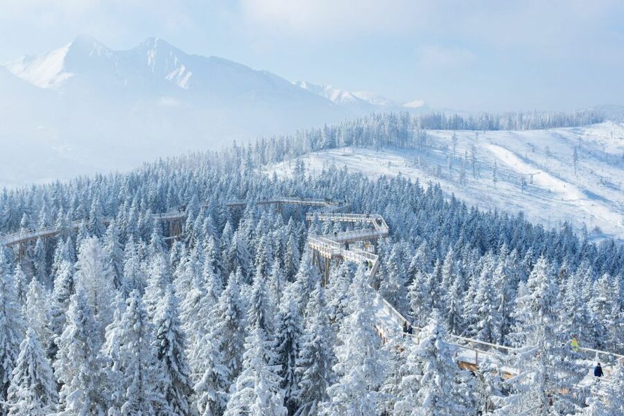 From Krakow: Morskie Oko and Slovakia Treetop Walk - Why Morskie Oko is worth the effort