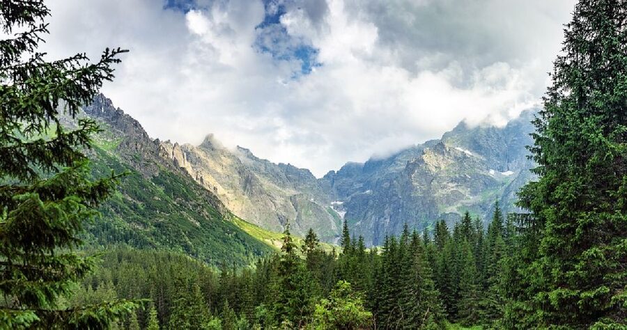 From Krakow: Morskie Oko and Slovakia Treetop Walk - How the timing affects your day