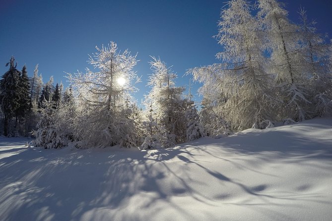 From Krakow: Siepraw Skiing for Beginners - Renting skis, boots, and other equipment