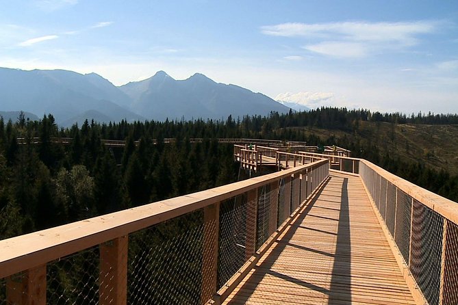 From Kraków: Slovakia Treetop Walk Bachledka and Zakopane - Why Bachledka is the star of the day