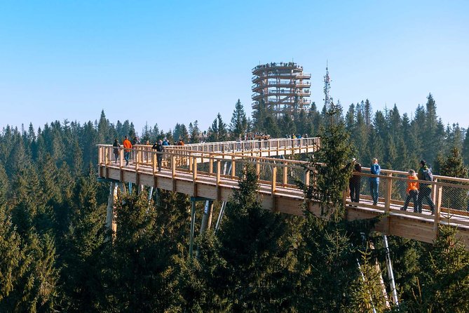 From Kraków: Slovakia Treetop Walk Bachledka and Zakopane - Snacks, tastings, and what to expect