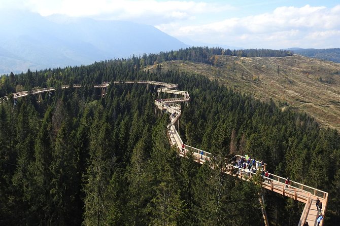 From Kraków: Slovakia Treetop Walk Bachledka and Zakopane - The walk up, the cableway, and the slide