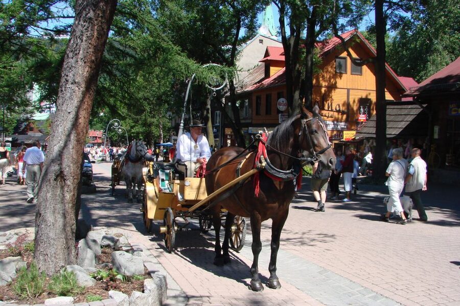 From Krakow: Slovakia Treetop Walk, Zakopane & Thermal Spa - Key points at a glance