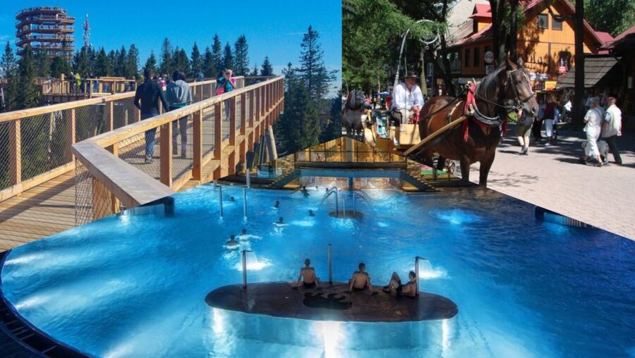 From Krakow: Slovakia Treetop Walk, Zakopane & Thermal Spa - Bachledka Treetop Walk, the day’s strongest stop