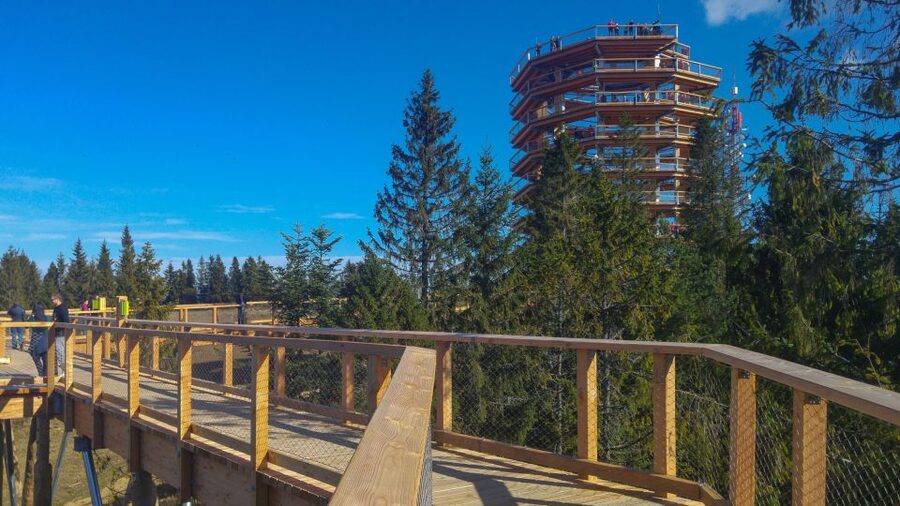 From Krakow: Slovakia Treetop Walk, Zakopane & Thermal Spa - Chochołów Thermal Spa, a lively final stop
