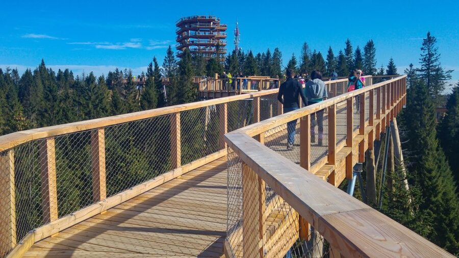 From Krakow: Slovakia Treetop Walk, Zakopane & Thermal Spa - Who will enjoy this Krakow day trip?